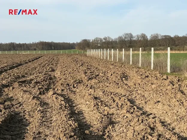 Prodej sadu/vinice, Nové Dvory, 9979 m2