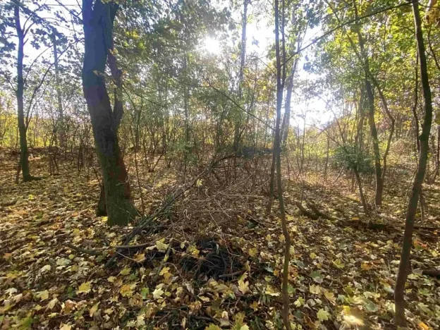 Dražba pozemku pro bydlení, Zdislava, 1043 m2