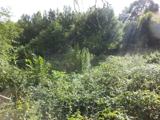 Dražba louky, Malé Březno, 14517 m2