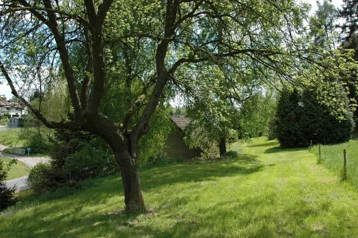 Prodej chalupy, Hnačov, 148 m2