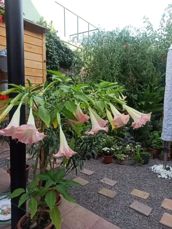 Prodej vícegeneračního domu, Mikulov, Na Jámě, 220 m2