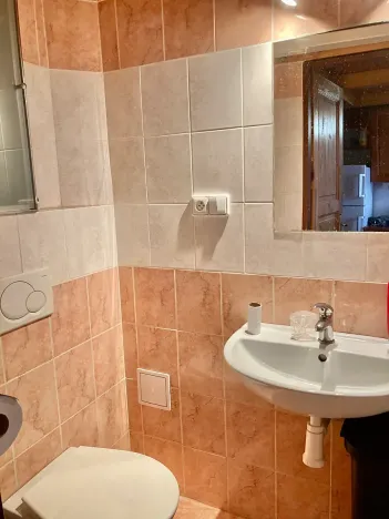 Pronájem bytu 1+kk, Praha - Košíře, Vrchlického, 25 m2