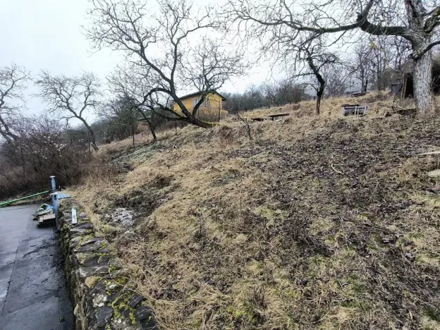 Prodej zahrady, Žalhostice, 4185 m2