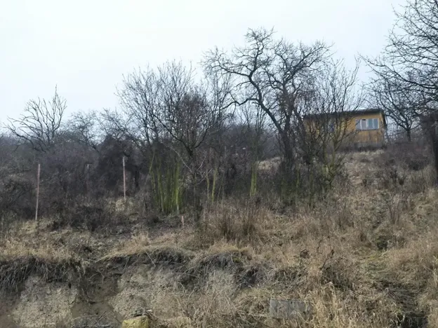 Prodej zahrady, Žalhostice, 4185 m2