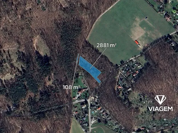 Prodej lesa, Vráž, 2989 m2