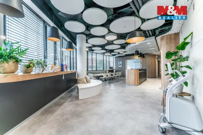 Pronájem komerční nemovitosti, Praha, Jihlavská, 30 m2