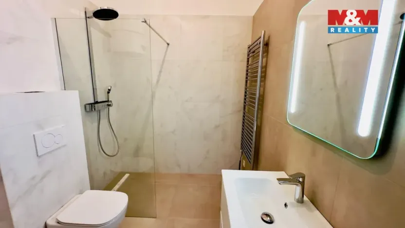 Pronájem bytu 2+kk, Opava - Předměstí, Riegrova, 56 m2