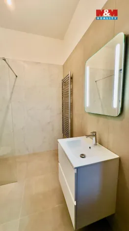 Pronájem bytu 2+kk, Opava - Předměstí, Riegrova, 56 m2