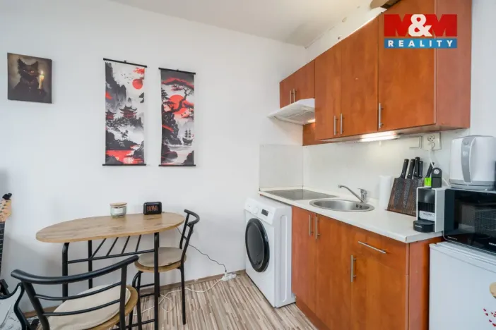 Prodej bytu 1+kk, Ústí nad Labem - Severní Terasa, Glennova, 19 m2