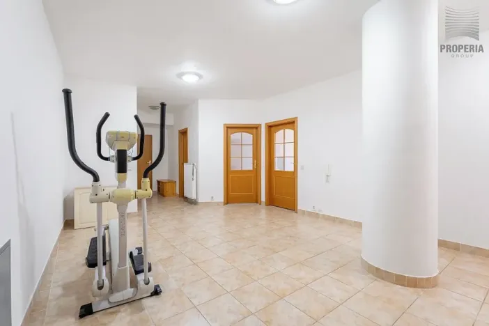 Prodej bytu 4+kk, Brno, 167 m2