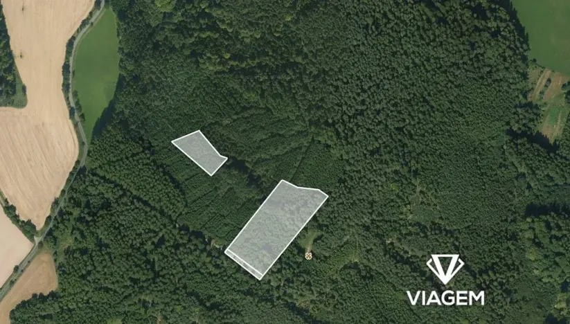 Prodej lesa, Březina, 18560 m2