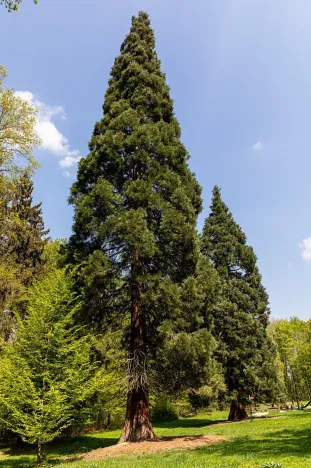 Pronájem kanceláře, Praha - Chodov, Tomíčkova, 8000 m2