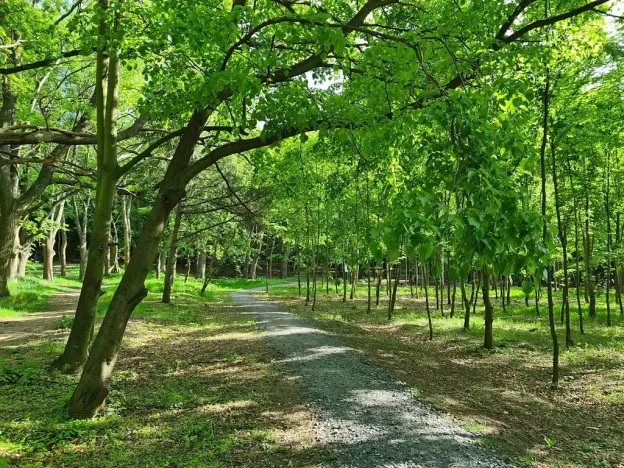 Pronájem kanceláře, Praha - Chodov, Tomíčkova, 3000 m2