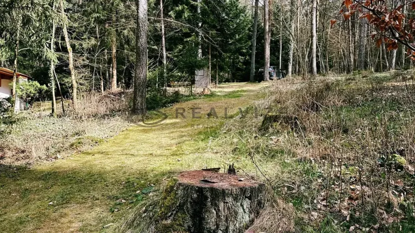 Prodej chaty, Vrábče, 48 m2