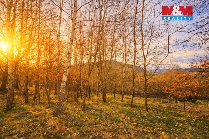 Prodej louky, Mikulůvka, 5876 m2