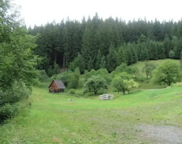 Dražba louky, Velké Karlovice, 24946 m2