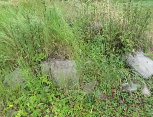 Dražba pozemku, Velké Karlovice, 3388 m2