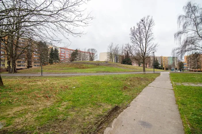 Prodej bytu 3+1, Ostrava, Ahepjukova, 67 m2