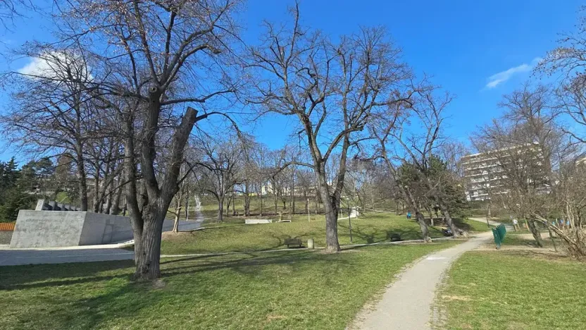 Prodej bytu 1+kk, Brno, Elgartova, 30 m2