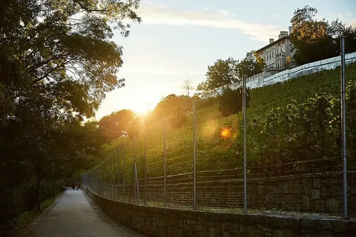 Prodej bytu 2+kk, Praha - Nusle, Bělehradská, 43 m2