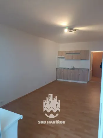 Pronájem bytu 1+kk, Havířov, Lidická, 27 m2