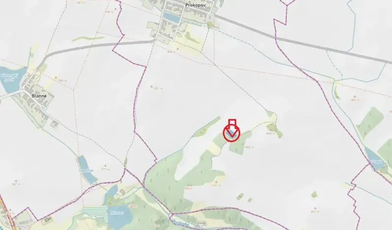 Prodej lesa, Prokopov, 2228 m2