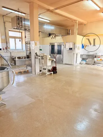 Prodej výrobních prostor, Netolice, Bavorovská, 650 m2