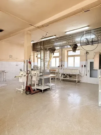 Prodej výrobních prostor, Netolice, Bavorovská, 650 m2