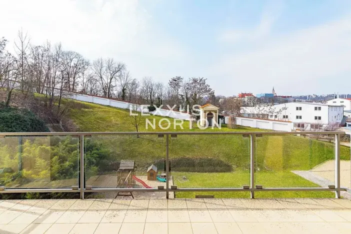 Pronájem bytu 6+kk a větší, Praha - Bubeneč, Mlýnská, 325 m2