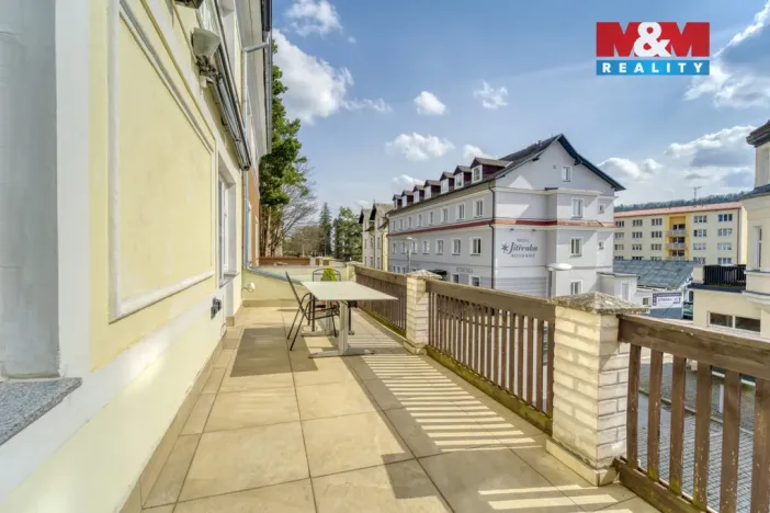 Prodej rodinného domu, Konstantinovy Lázně, Lázeňská, 250 m2