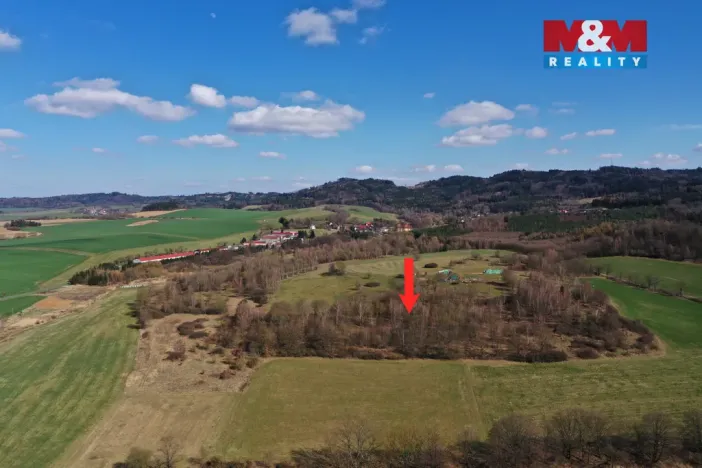 Prodej lesa, Obytce, 20042 m2