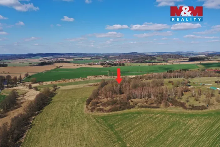 Prodej lesa, Obytce, 20042 m2