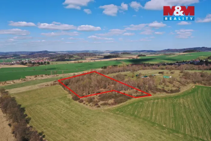 Prodej lesa, Obytce, 20042 m2