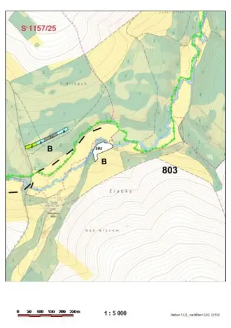 Prodej lesa, Pošná, 3636 m2