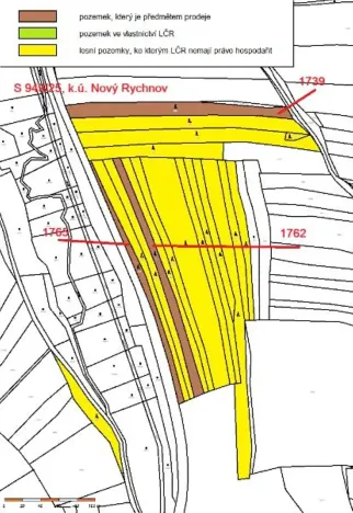 Prodej lesa, Nový Rychnov, 7440 m2
