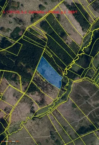 Prodej lesa, Pošná, 12283 m2