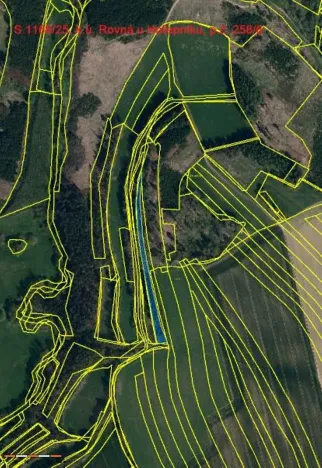 Prodej lesa, Rovná, 2569 m2