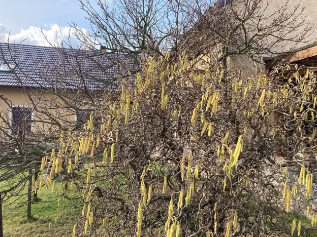 Prodej rodinného domu, Kotenčice, 342 m2