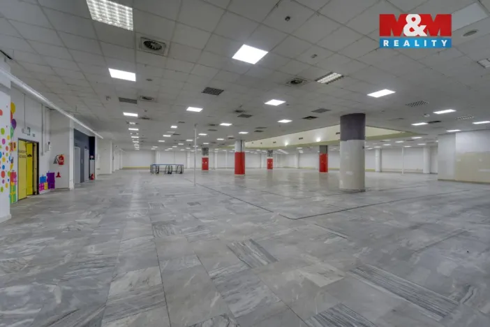 Pronájem obchodního prostoru, Plzeň - Východní Předměstí, Americká, 1603 m2