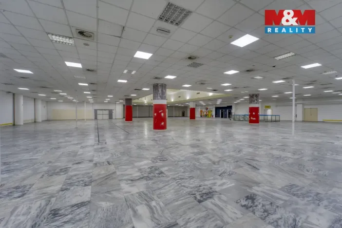 Pronájem obchodního prostoru, Plzeň - Východní Předměstí, Americká, 1603 m2