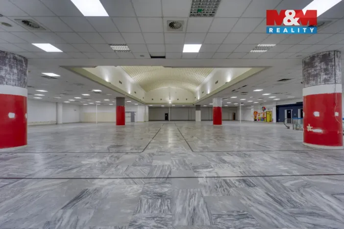 Pronájem obchodního prostoru, Plzeň - Východní Předměstí, Americká, 1603 m2