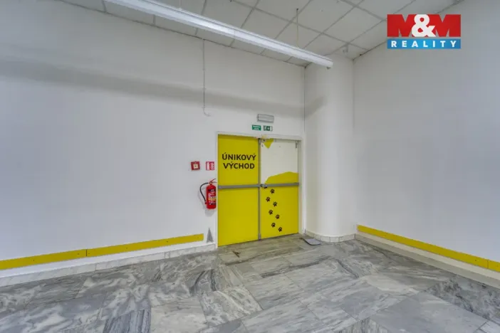 Pronájem obchodního prostoru, Plzeň - Východní Předměstí, Americká, 1603 m2