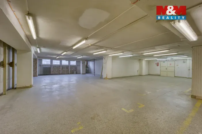 Pronájem obchodního prostoru, Plzeň - Východní Předměstí, Americká, 1603 m2