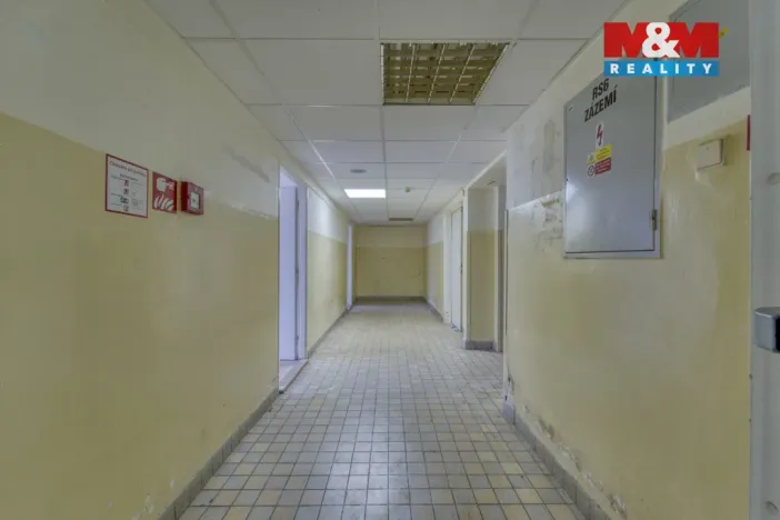 Pronájem obchodního prostoru, Plzeň - Východní Předměstí, Americká, 1603 m2