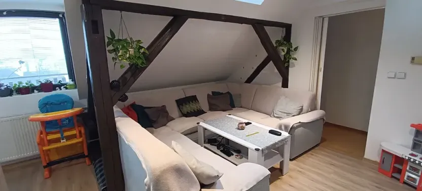 Prodej vícegeneračního domu, Brno, Nováčkova, 380 m2