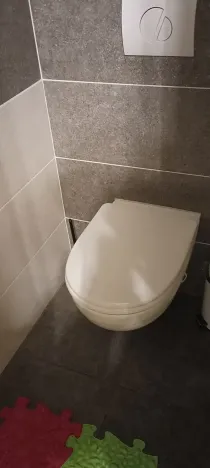 Prodej vícegeneračního domu, Brno, Nováčkova, 380 m2