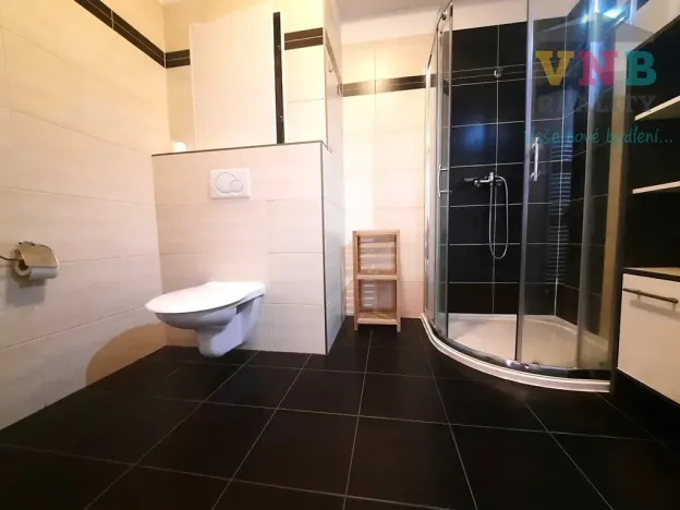 Pronájem bytu 1+kk, Olomouc, Družební, 37 m2