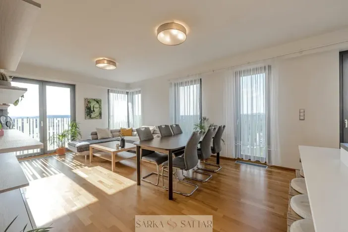 Pronájem bytu 4+kk, Praha - Žižkov, Olšanská, 116 m2