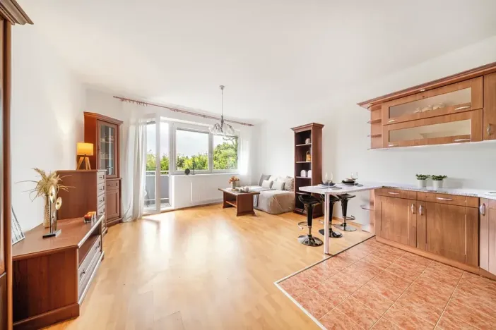 Prodej bytu 1+kk, Praha - Dolní Měcholupy, V osikách, 40 m2