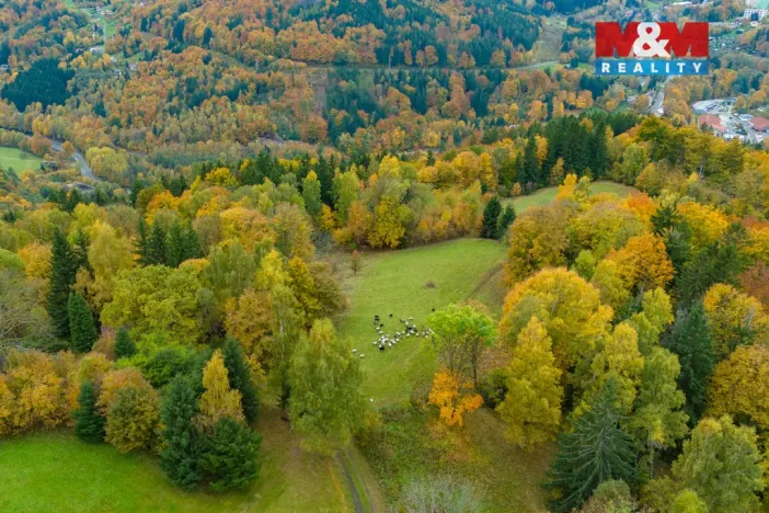Prodej louky, Tanvald - Šumburk nad Desnou, 1589 m2
